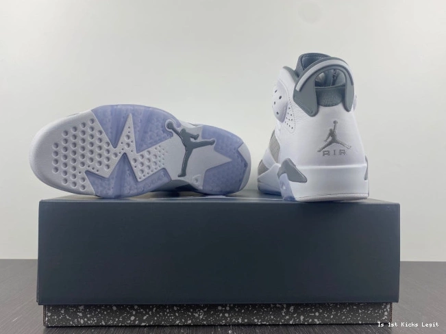 Jordan 6 Grey CT8529-100 Air Cool 0721